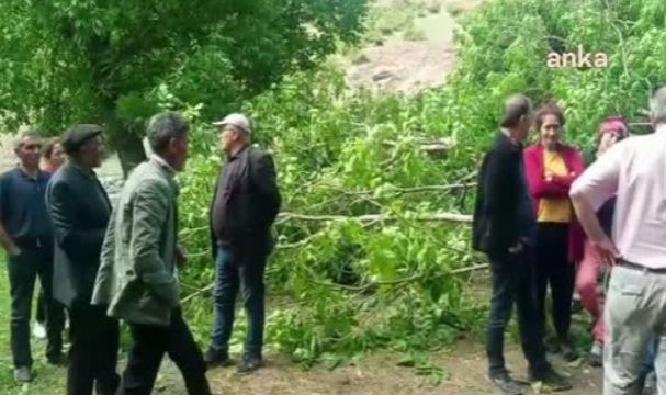 Artvin'de Hes Yapılması Planlanan Bölgedeki Ağaçlar Mahkeme Sonuçlanmadan Kesildi